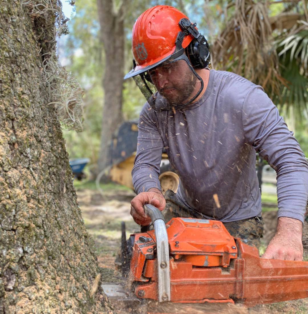 Crew finishing tree work in a Sarasota yard