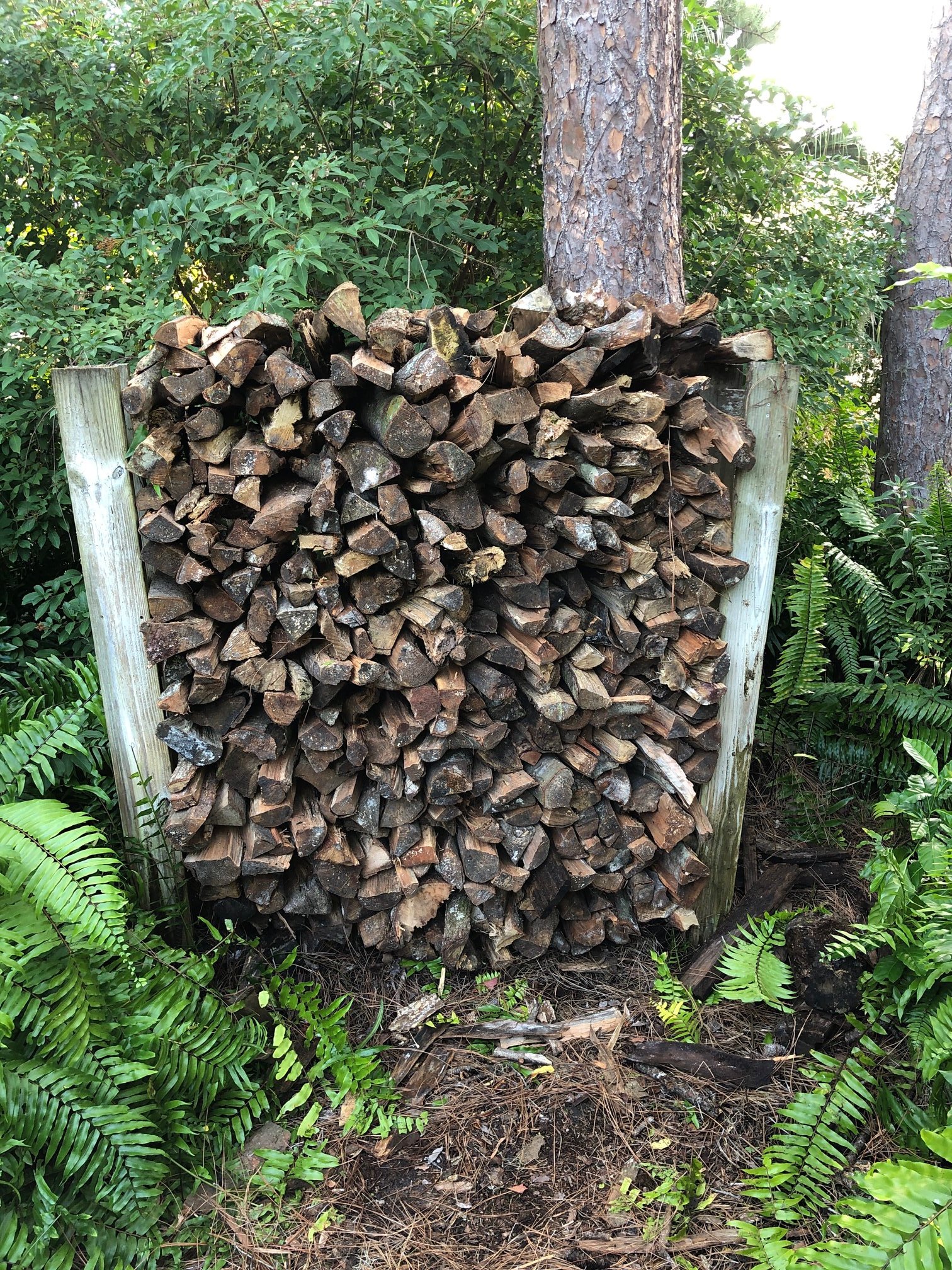 Landscape Trimming