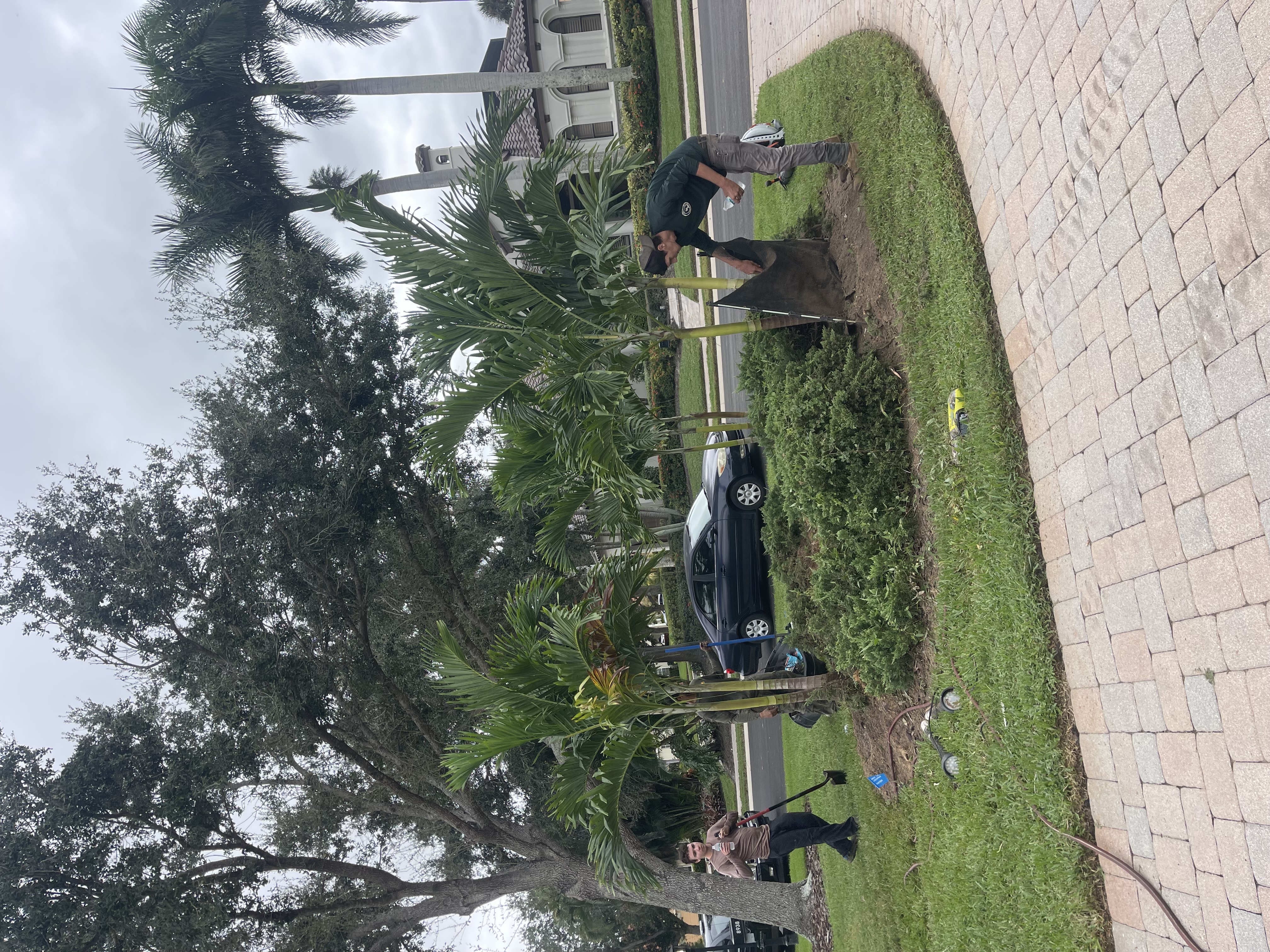 Yard after stump work