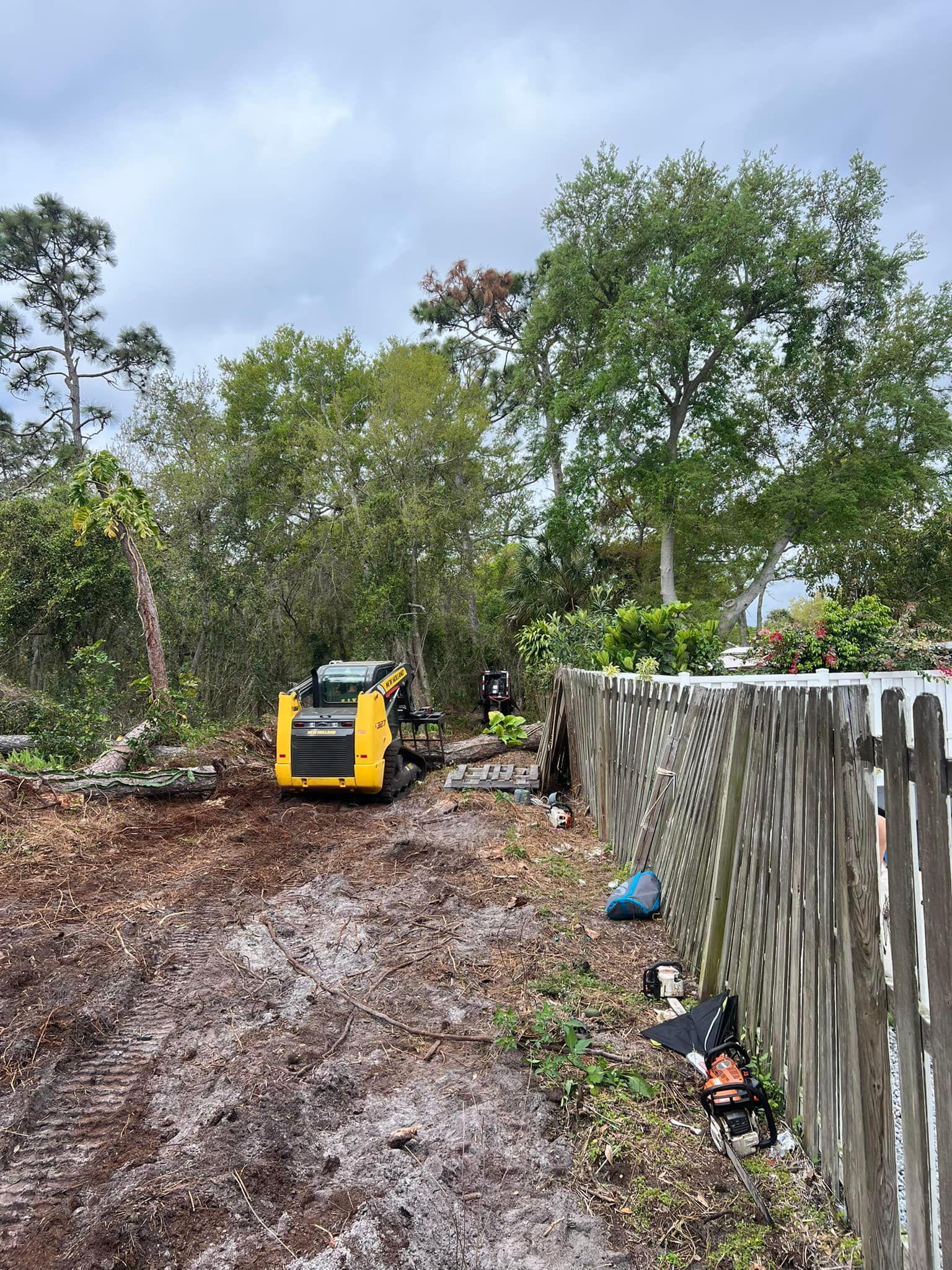 Crew removing a tree in sections