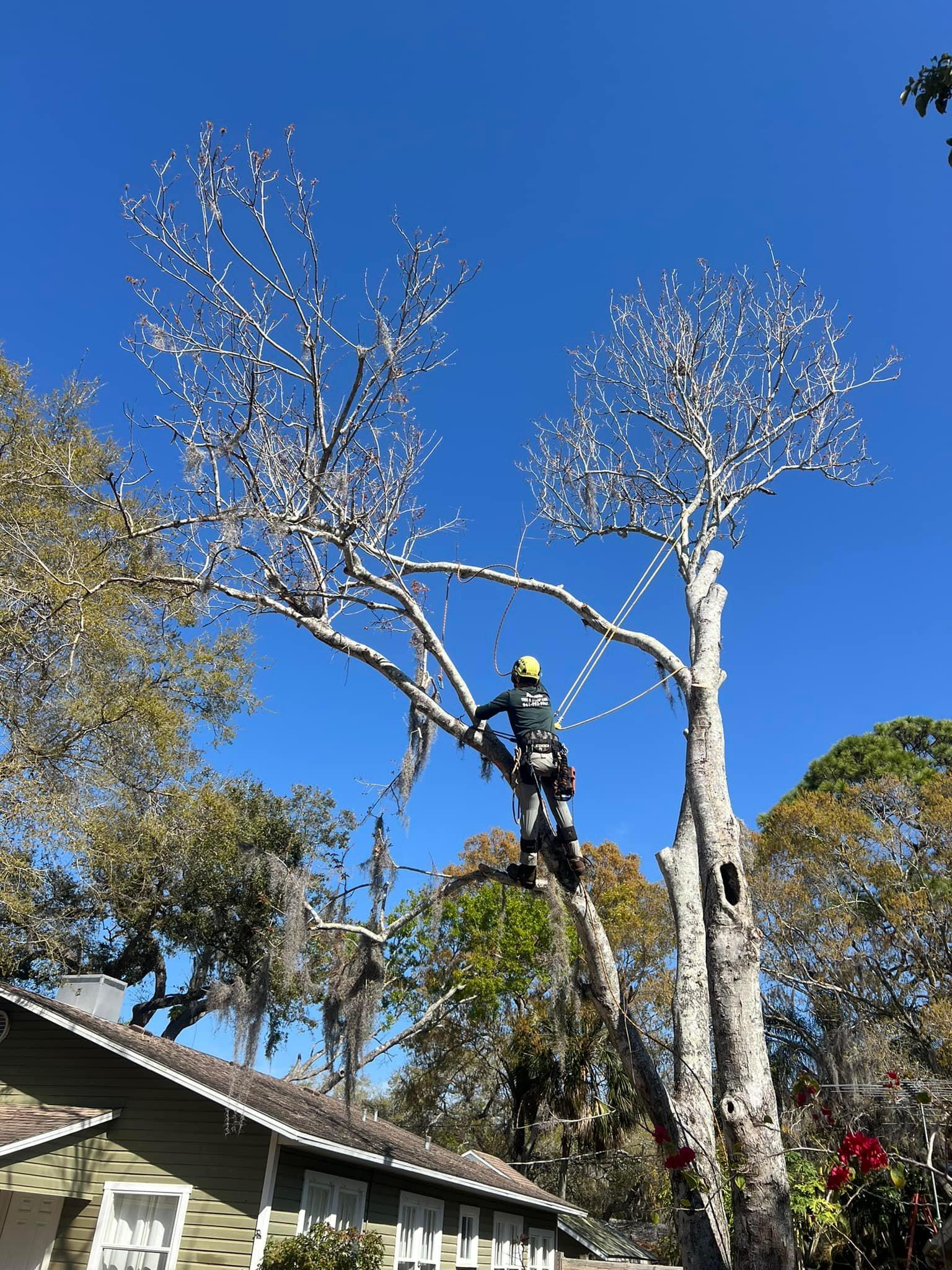 Heavy equipment on a removal
