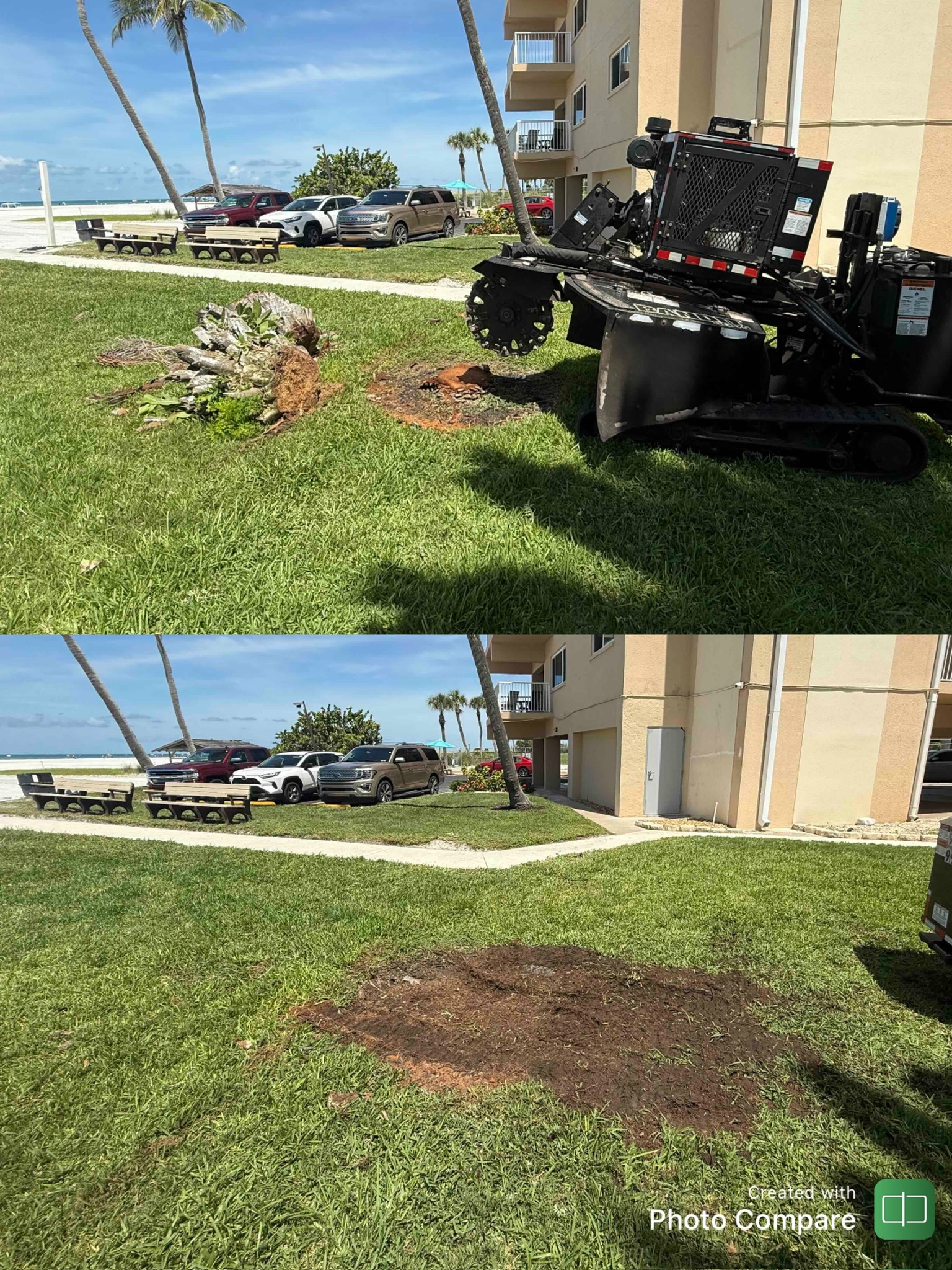 Residential tree removal