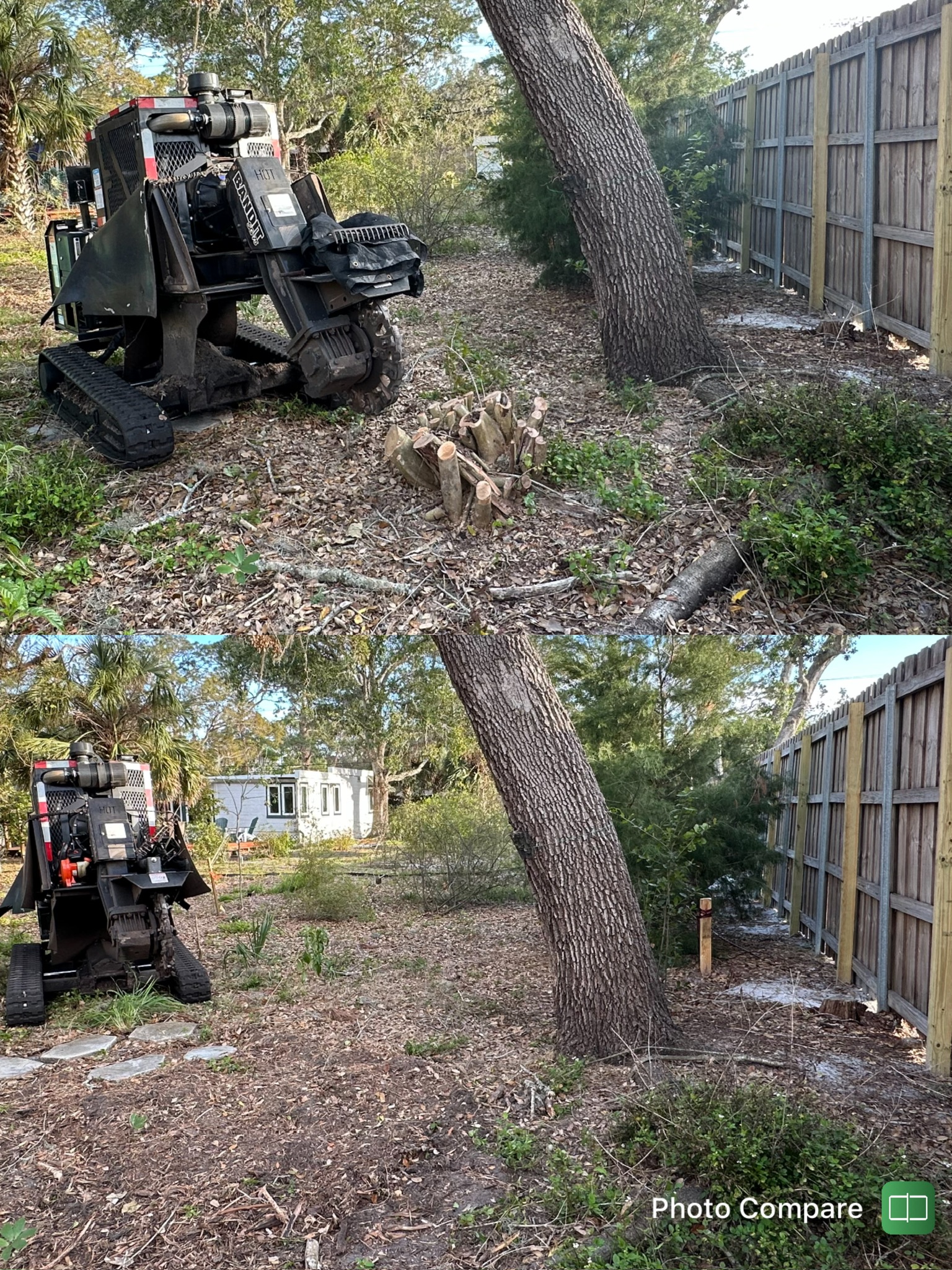 Tree Trimming