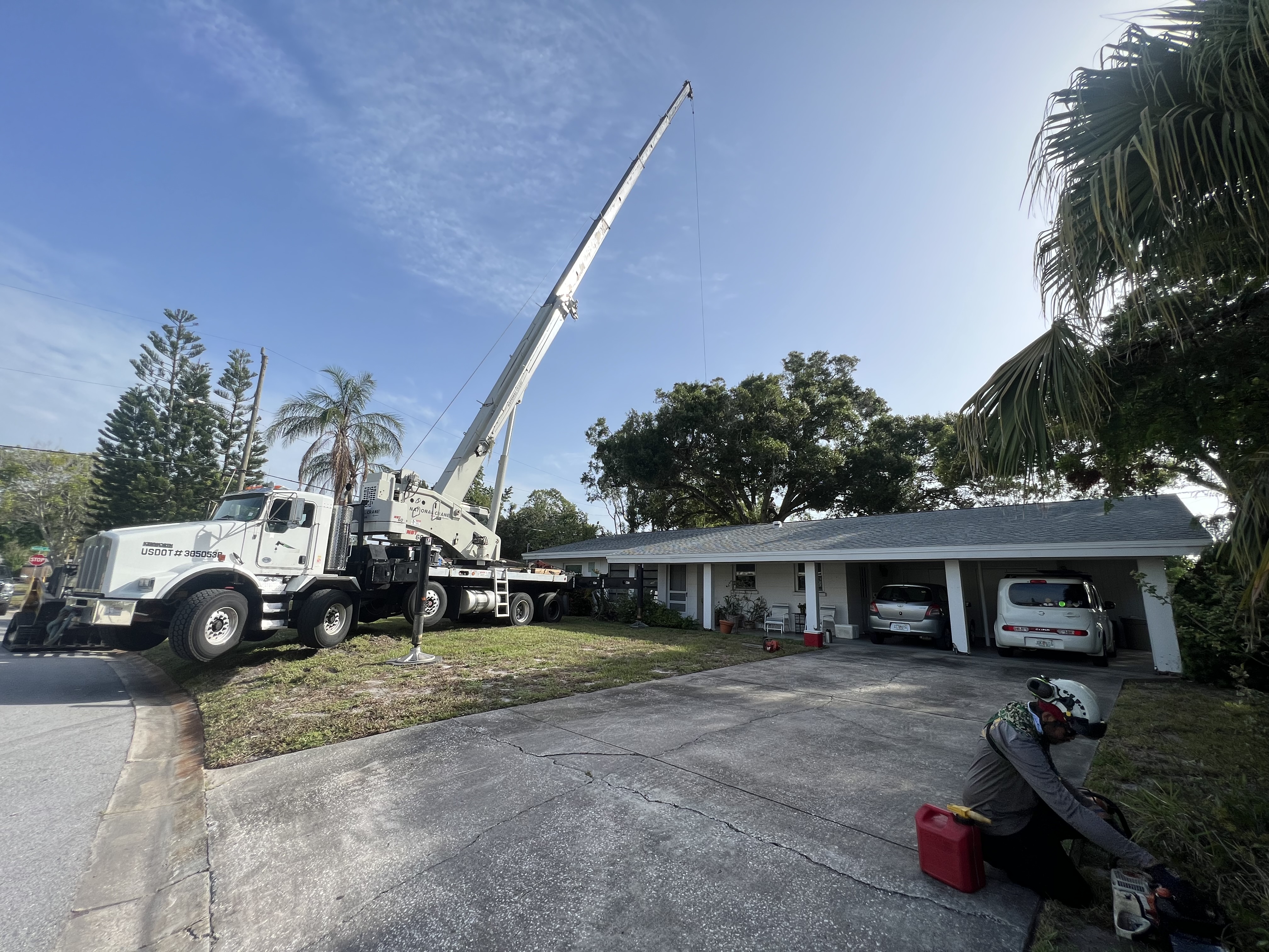 Crane Removals