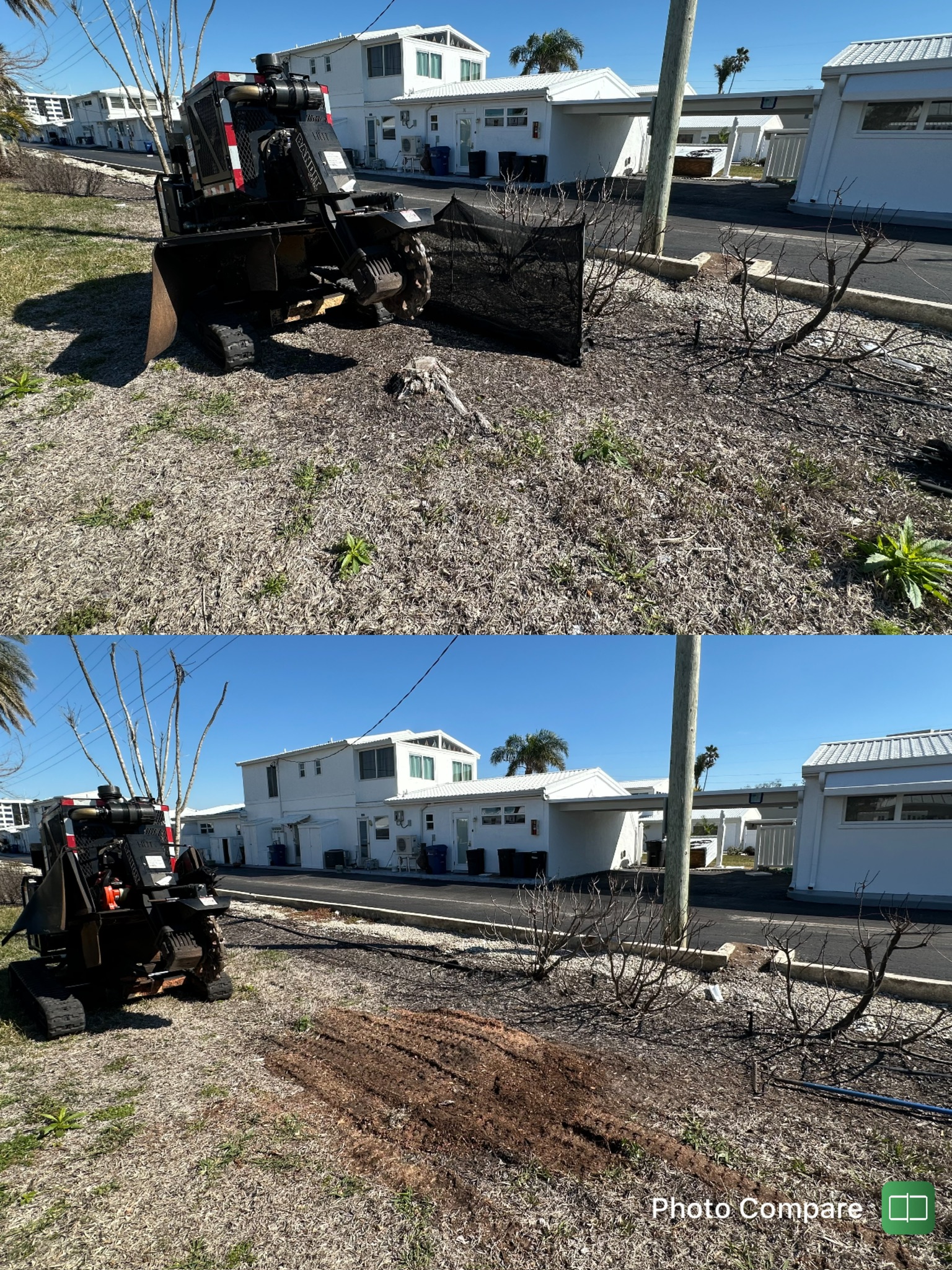 Stump Removal
