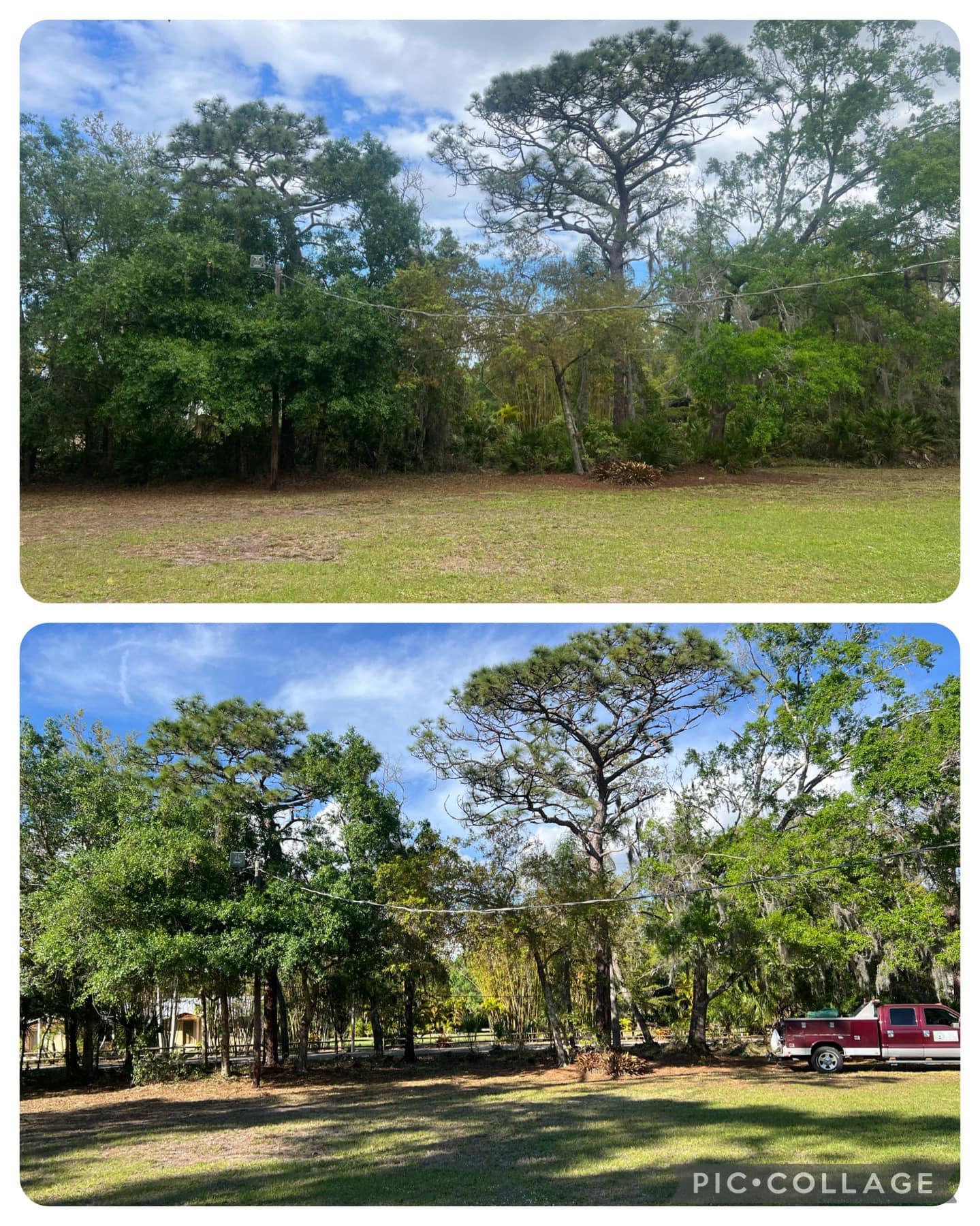 Job site photo 1
